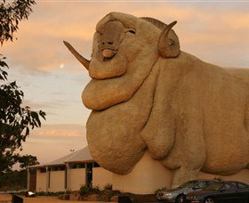 Big Merino - Attractions Brisbane 3