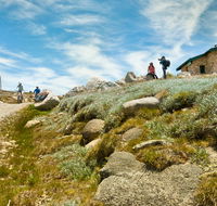 Mount Kosciuszko Summit walk - Attractions Brisbane