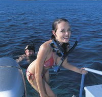 Seal Cove - Attractions Brisbane