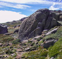 Mount Stillwell walk - Attractions Brisbane