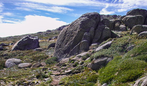 Mount Stillwell Walk - Attractions Brisbane 0