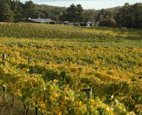 Lark Hill Biodynamic Winery - Attractions Brisbane 2