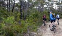 McMahon's Point ride - Wentworth Falls