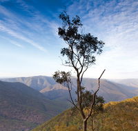 Salisbury Waters walking track - Attractions Brisbane