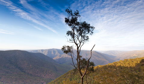 Salisbury Waters Walking Track - Attractions Brisbane 0