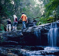 South Lawson Waterfall Circuit - Attractions Brisbane