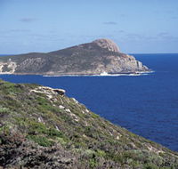 Bald Head Walking Track - Attractions Brisbane