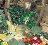 Mulgowie Real Farmers Markets - Attractions Brisbane