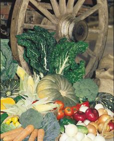 Mulgowie Real Farmers Markets - Attractions Brisbane 0