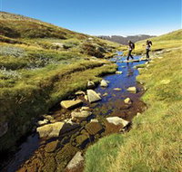 Australian Alps Walking Track - Attractions Brisbane