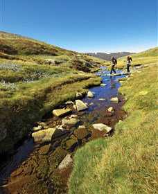 Australian Alps Walking Track - Attractions Brisbane 0
