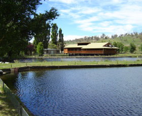 Gaden Trout Hatchery - Attractions Brisbane 0