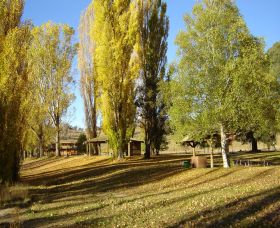 Gaden Trout Hatchery - Attractions Brisbane 1