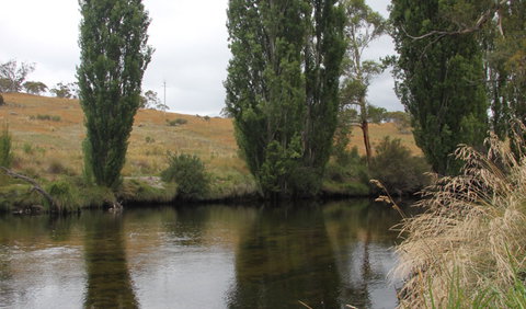 Thredbo River Picnic Area - Attractions Brisbane 3