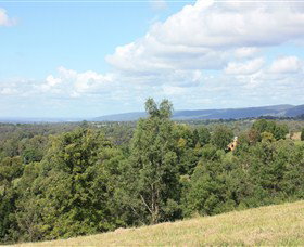 Kurrajong Village - Attractions Brisbane 1