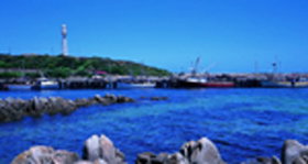King Island TAS Attractions Brisbane