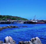King Island Dairies - Attractions Brisbane