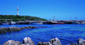 King Island Dairies - Attractions Brisbane 0