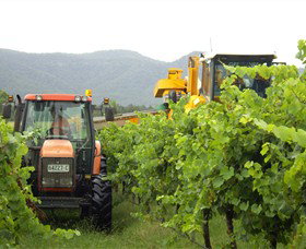 Stomp! Wines - Attractions Brisbane 8