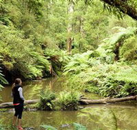 Morwell National Park - Attractions Brisbane