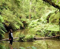 Morwell National Park