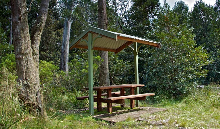 Curricabark NSW Attractions Brisbane