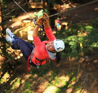 Trees Adventure Grose River Park - Attractions Brisbane