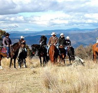 Snowy Wilderness - Attractions Brisbane
