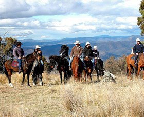 Snowy Wilderness - Attractions Brisbane 0