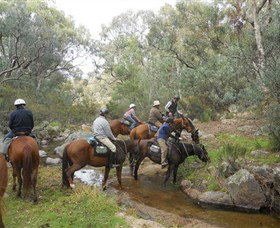 Snowy Wilderness - Attractions Brisbane 5