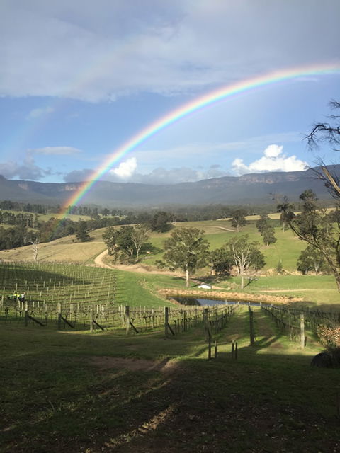 Dryridge Estate - Attractions Brisbane 4