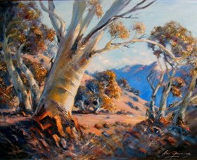 Kunama Snowy Mountains Centre For The Arts - Attractions Brisbane 0