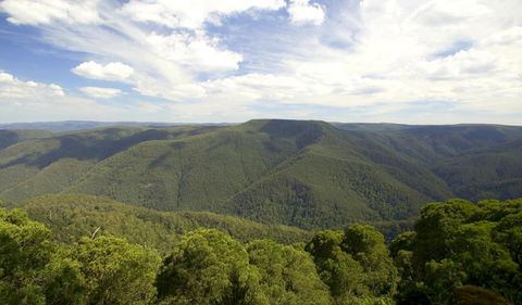 Barrington Tops National Park - Attractions Brisbane 0