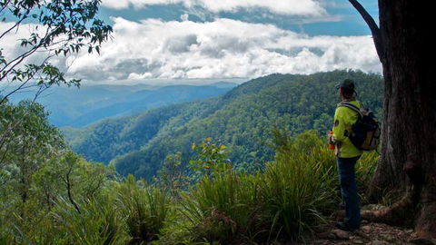 Barrington Tops National Park - Attractions Brisbane 3