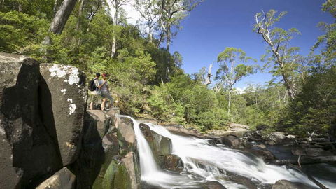 Barrington Tops National Park - Attractions Brisbane 2