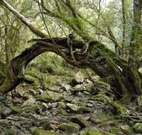 Mitchell River National Park - Attractions Brisbane