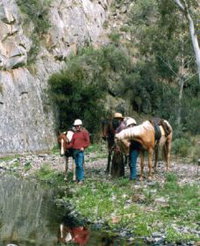 Yarramba Horse Riding