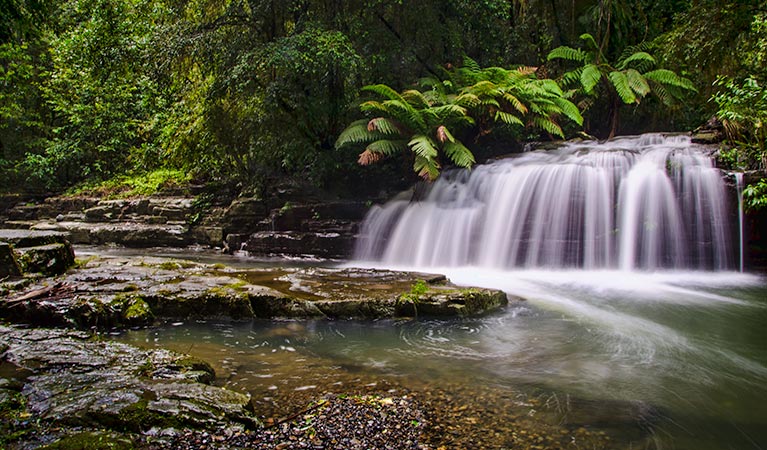 Chichester NSW Attractions Brisbane