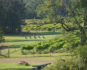 Wollombi Wines - Attractions Brisbane 8