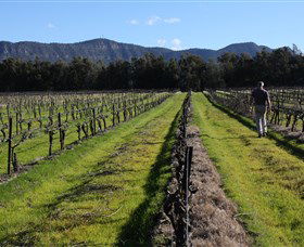 Around Hermitage Wine And Food Trail Hunter Valley - Attractions Brisbane 1