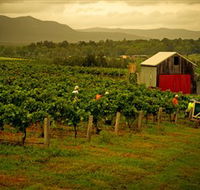Around Hermitage Wine and Food Trail Hunter Valley - Attractions Brisbane