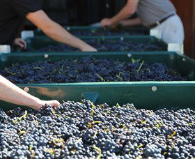 Around Hermitage Wine And Food Trail Hunter Valley - Attractions Brisbane 6