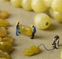 Hunter Valley Wine School - Attractions Brisbane