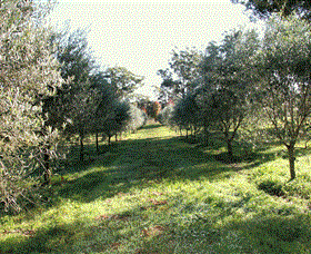 Langdale Farm - Attractions Brisbane