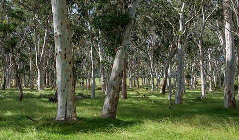Coast To The Highlands Scenic Drive â€“ Kangaroo Valley - Attractions Brisbane 1