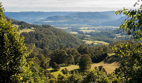 Coast To The Highlands Scenic Drive â€“ Kangaroo Valley - Attractions Brisbane 3