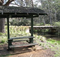 Barrington Tops State Forest - Attractions Brisbane