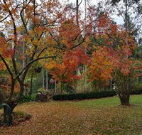 Bellbird Cottage - Attractions Brisbane