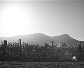 Scarborough Wine Co. - Attractions Brisbane 1