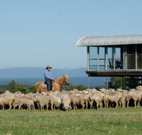 Tobruk Sydney - Attractions Brisbane